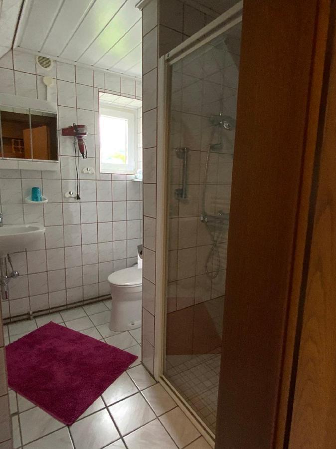 Chalet Dorfer Villa Sankt Lorenzen ob Murau Kültér fotó