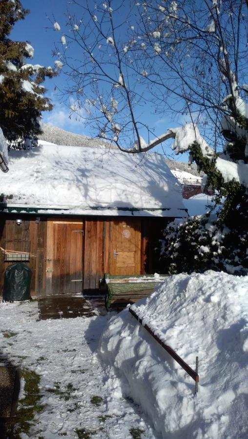 Chalet Dorfer Villa Sankt Lorenzen ob Murau Kültér fotó